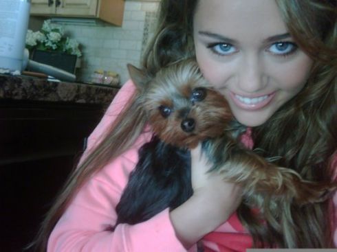 miley-cyrus-423.jpg