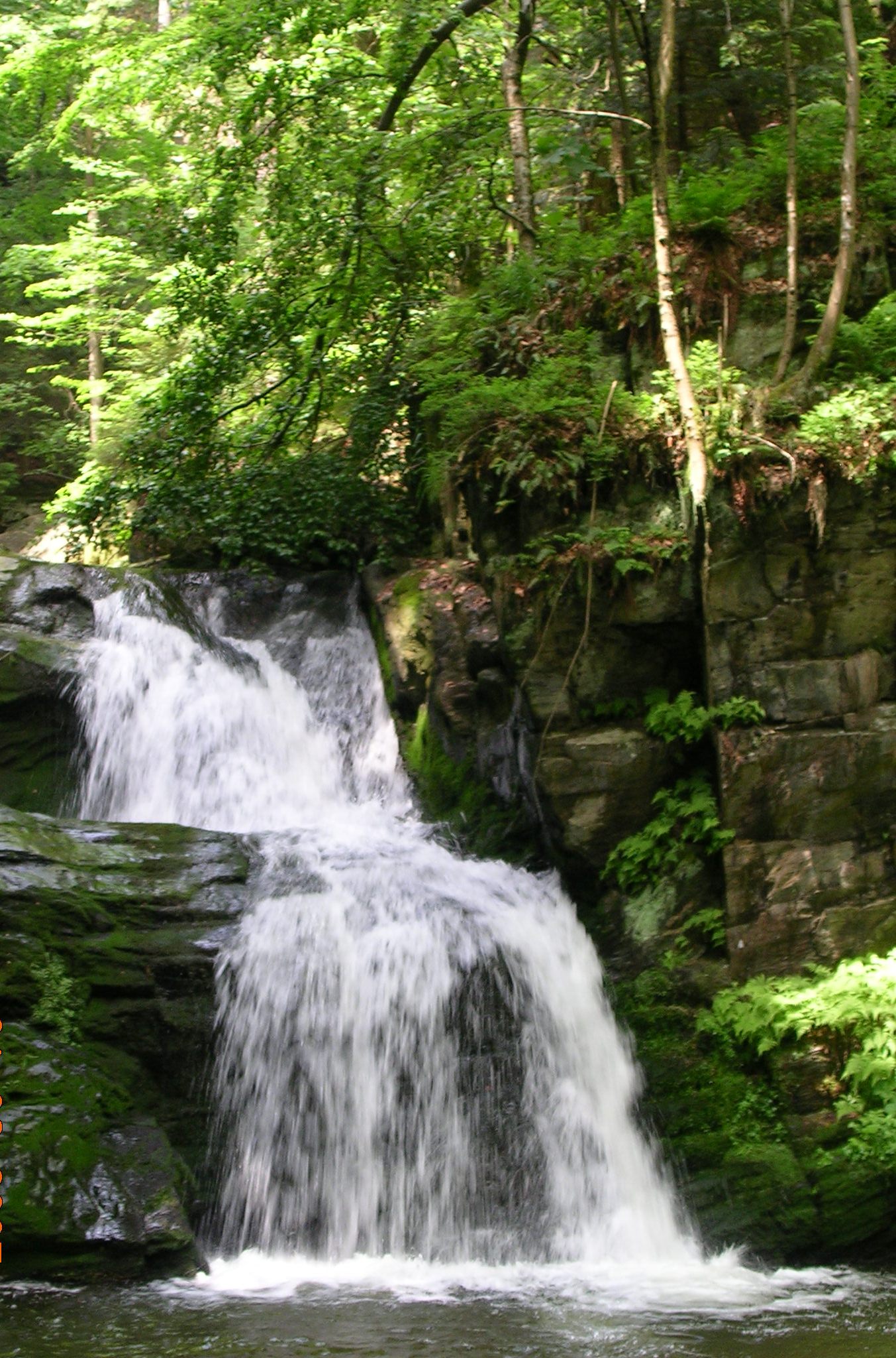 2008-05-28-155806-priroda-dlouha-loucka.jpg