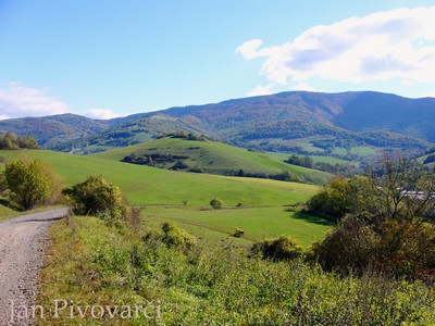 200805040938_priroda2.jpg