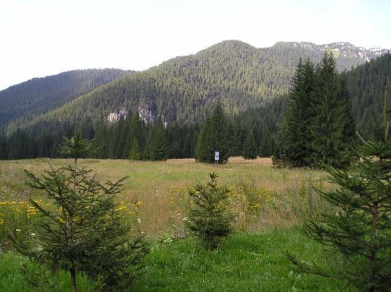 jasna-ski-priroda-2.jpg