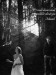 soundtrack-twilight-11571.jpg